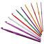 22 Pc Chromatic Crochet Hook Set With Case - Casz's Country Craft's